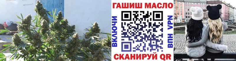 ТГК гашишное масло  закладка  Пионерский 