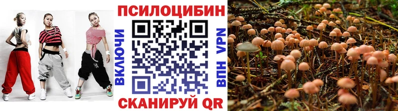 Галлюциногенные грибы GOLDEN TEACHER  Пионерский 