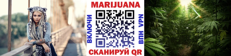 сколько стоит  Пионерский  МАРИХУАНА семена 